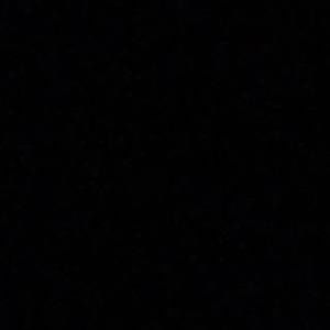 Meet your Posher, Daisy